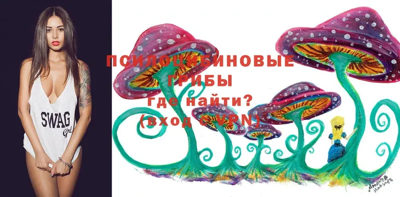 KRAKEN ссылки  Бузулук  это наркотические препараты  сколько стоит  Псилоцибиновые грибы GOLDEN TEACHER 